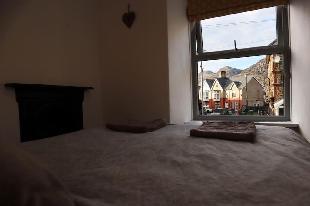 Dol Bach - Your Homely Welsh Cottage In The Heart Of Snowdonia بلايناو-فيستينيوج المظهر الخارجي الصورة