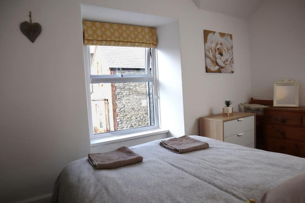Dol Bach - Your Homely Welsh Cottage In The Heart Of Snowdonia بلايناو-فيستينيوج المظهر الخارجي الصورة