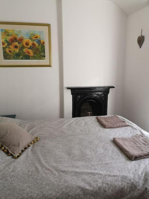 Dol Bach - Your Homely Welsh Cottage In The Heart Of Snowdonia بلايناو-فيستينيوج المظهر الخارجي الصورة