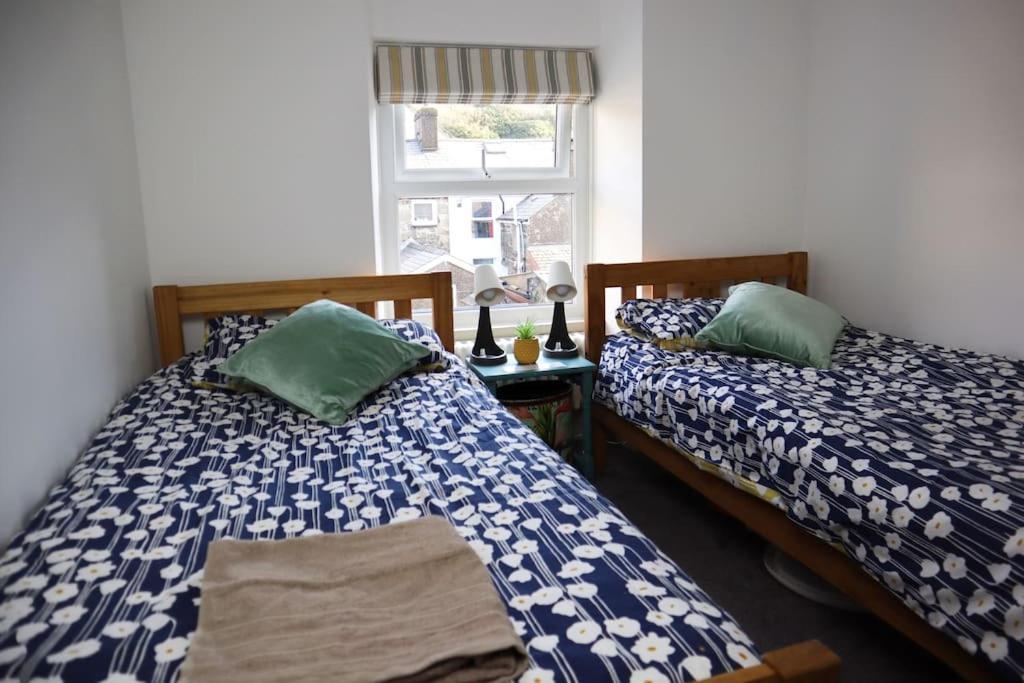 Dol Bach - Your Homely Welsh Cottage In The Heart Of Snowdonia بلايناو-فيستينيوج المظهر الخارجي الصورة