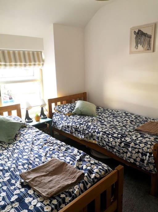 Dol Bach - Your Homely Welsh Cottage In The Heart Of Snowdonia بلايناو-فيستينيوج المظهر الخارجي الصورة