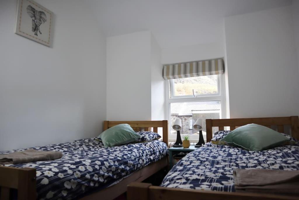 Dol Bach - Your Homely Welsh Cottage In The Heart Of Snowdonia بلايناو-فيستينيوج المظهر الخارجي الصورة