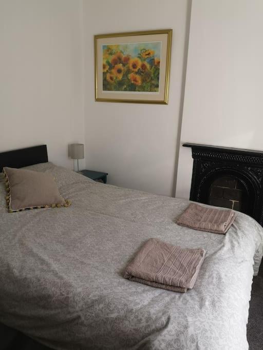 Dol Bach - Your Homely Welsh Cottage In The Heart Of Snowdonia بلايناو-فيستينيوج المظهر الخارجي الصورة